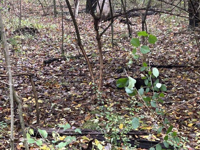 4680 Fitzpatrick Road, Fayette Twp, MI 49242