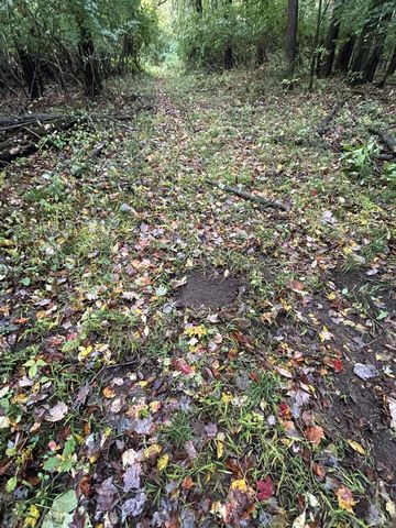 4680 Fitzpatrick Road, Fayette Twp, MI 49242