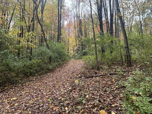 4680 Fitzpatrick Road, Fayette Twp, MI 49242