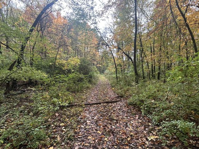 4680 Fitzpatrick Road, Fayette Twp, MI 49242