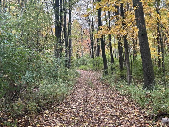 4680 Fitzpatrick Road, Fayette Twp, MI 49242