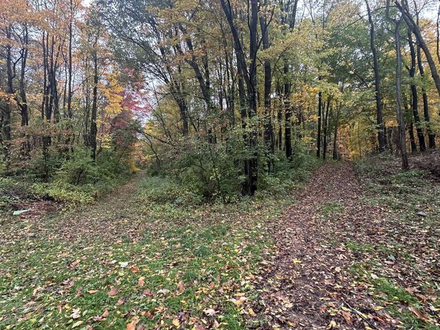 4680 Fitzpatrick Road, Fayette Twp, MI 49242