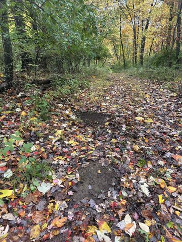 4680 Fitzpatrick Road, Fayette Twp, MI 49242