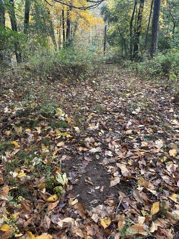 4680 Fitzpatrick Road, Fayette Twp, MI 49242