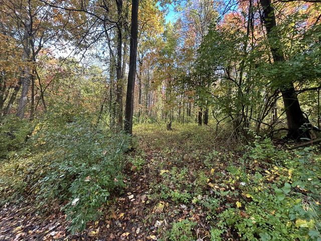 4680 Fitzpatrick Road, Fayette Twp, MI 49242