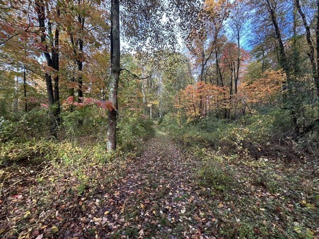 4680 Fitzpatrick Road, Fayette Twp, MI 49242