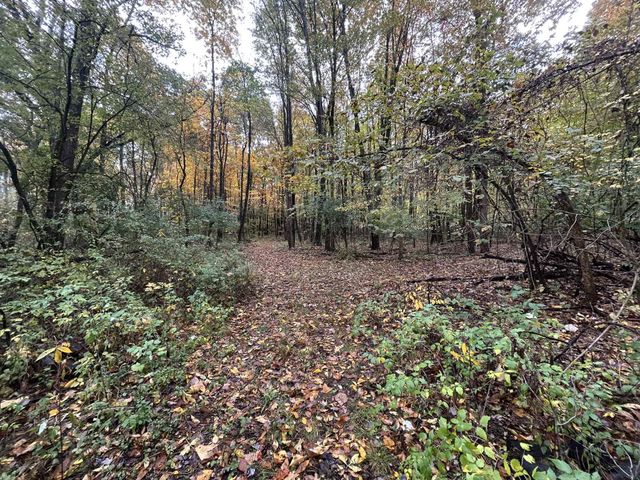 4680 Fitzpatrick Road, Fayette Twp, MI 49242