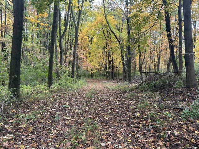 4680 Fitzpatrick Road, Fayette Twp, MI 49242