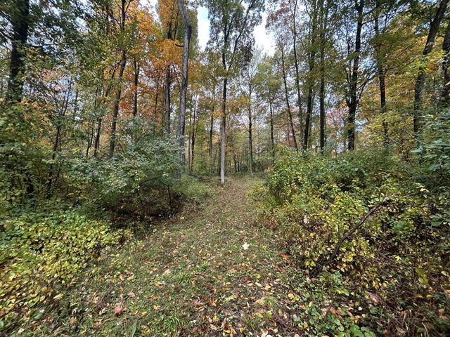 4680 Fitzpatrick Road, Fayette Twp, MI 49242