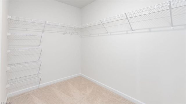 317 Zinnia Place, Lexington, NC 27295