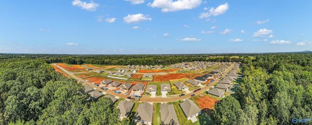 28892 Nature Trail Drive, Harvest, AL 35749