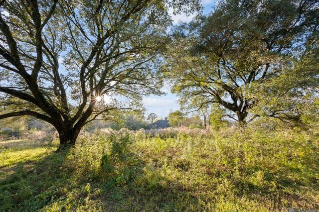 25331 Spillers Ranch Rd, Denham Springs, LA 70726