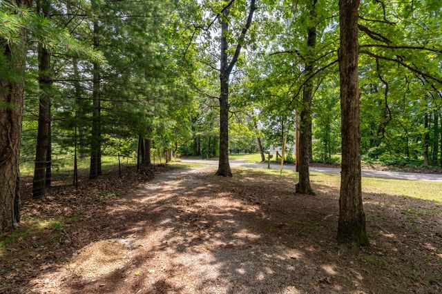 8116 Hixson Springs Road, Signal Mountain, TN 37377