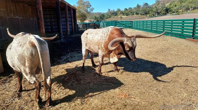 16757 Old Guejito Grade Road, Escondido, CA 92027