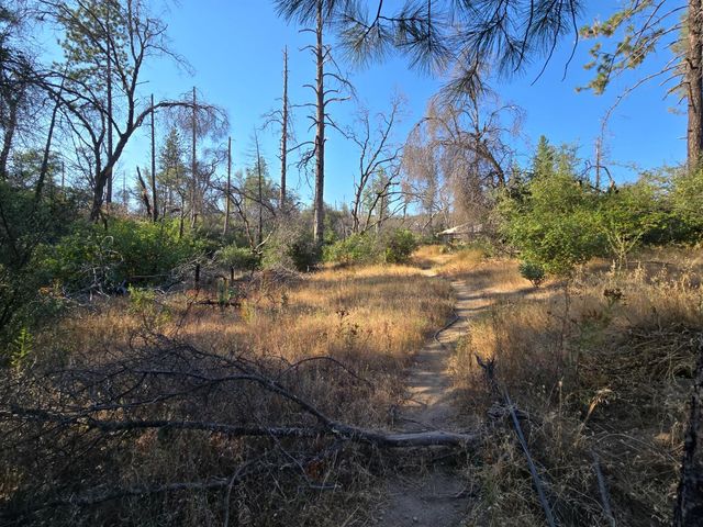 804 Craig Access Rd, Feather Falls, CA 95940