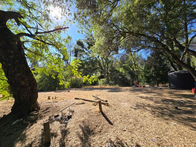 804 Craig Access Rd, Feather Falls, CA 95940