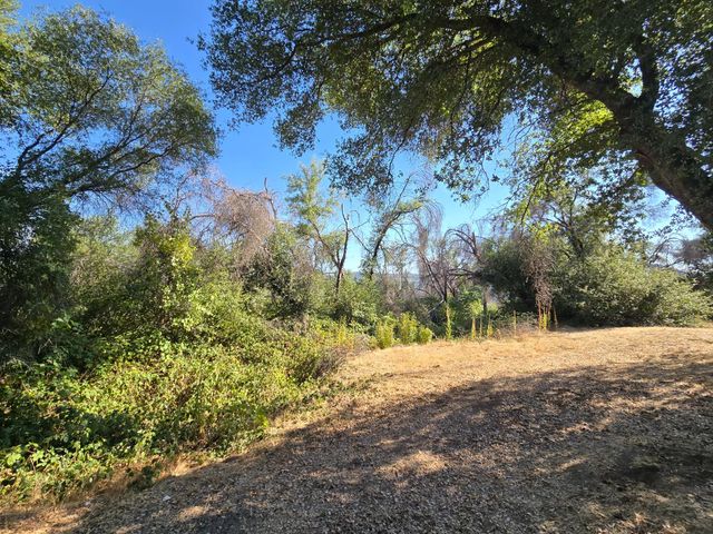 804 Craig Access Rd, Feather Falls, CA 95940