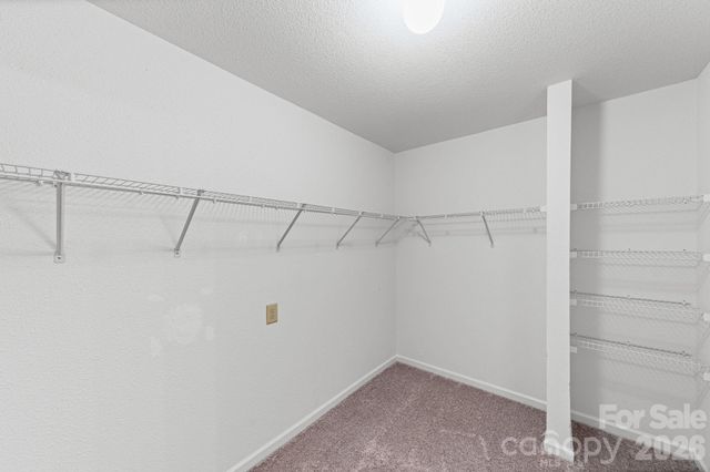 2902 Royal Fern Lane, Charlotte, NC 28215