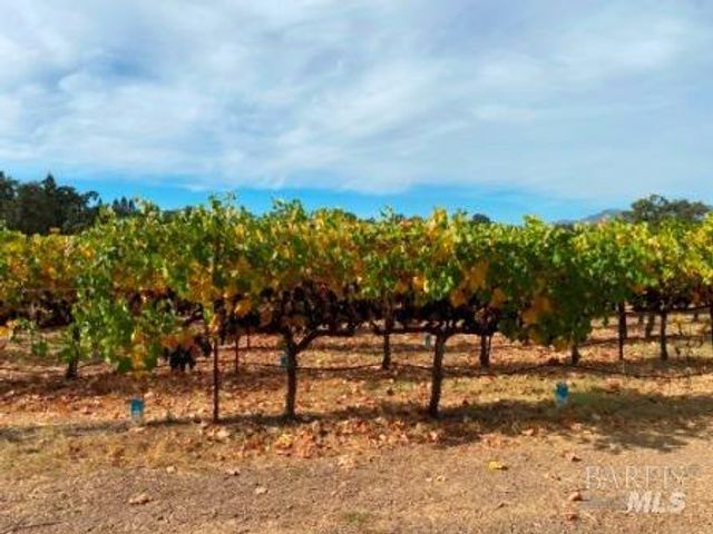 1180 Monticello Rd, Napa, CA 94558