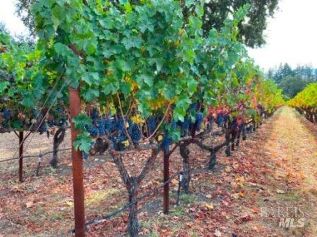 1180 Monticello Rd, Napa, CA 94558