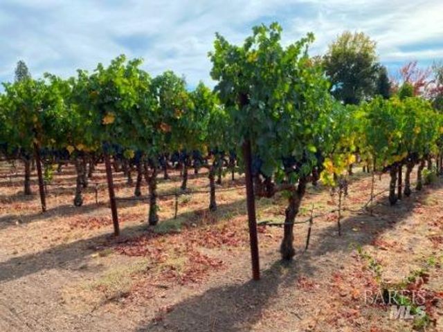 1180 Monticello Rd, Napa, CA 94558