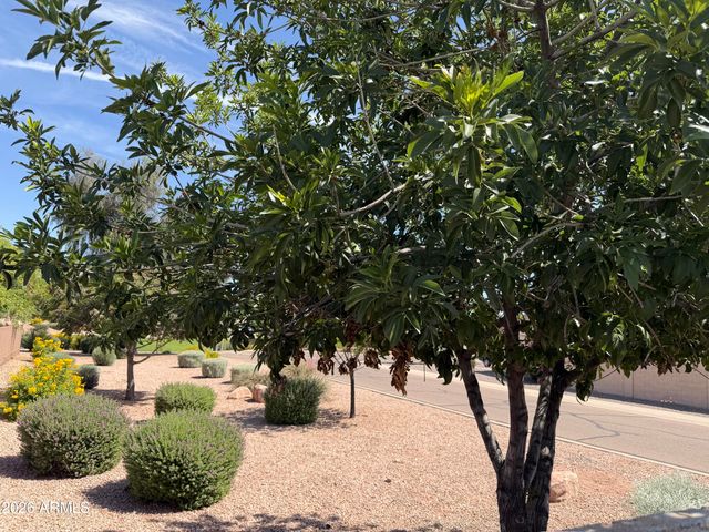 436 E YELLOW WOOD Avenue, San Tan Valley, AZ 85140