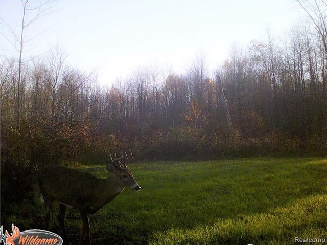 0 Sanilac Road, Vassar, MI 48768