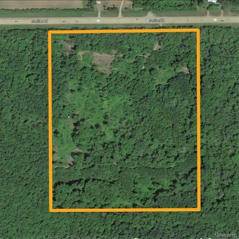 0 Sanilac Road, Vassar, MI 48768
