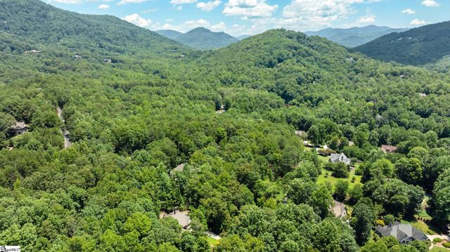99 Painter Creek Road, Travelers Rest, SC 29690