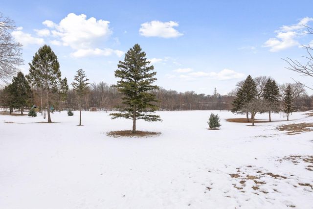 219 Morgan Avenue N, Minneapolis, MN 55405