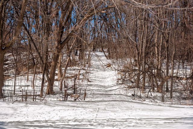 219 Morgan Avenue N, Minneapolis, MN 55405