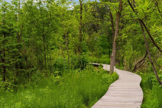 219 Morgan Avenue N, Minneapolis, MN 55405