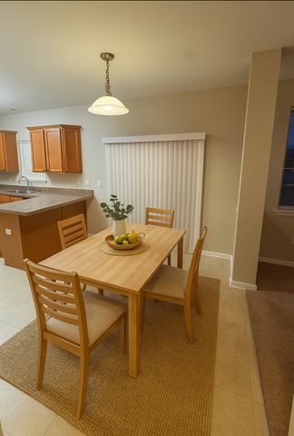 1510 Balboa Drive, Minooka, IL 60447