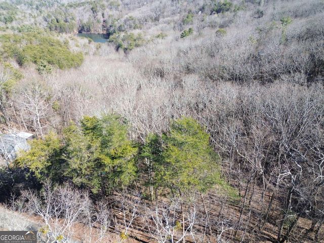 0 Walnut Mountain Road, Ellijay, GA 30536