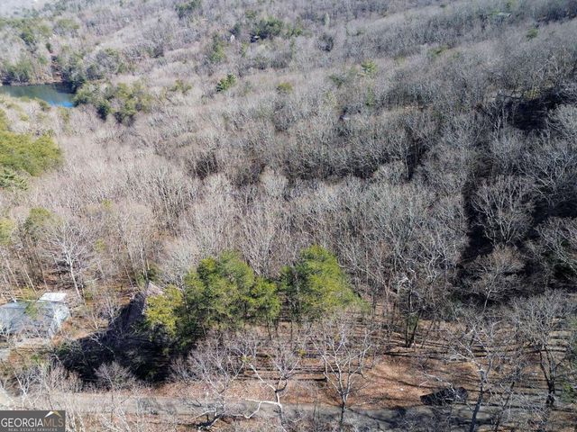 0 Walnut Mountain Road, Ellijay, GA 30536