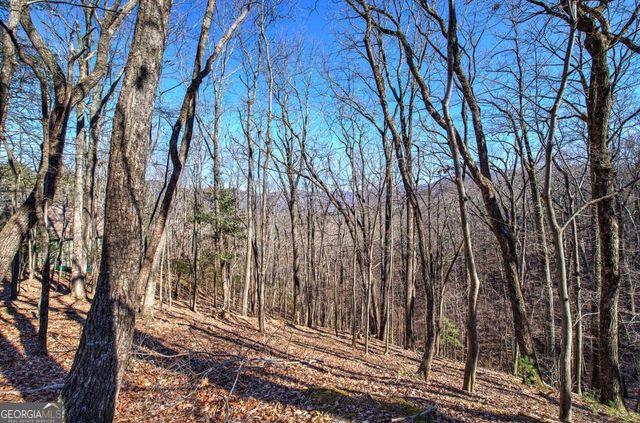 0 Walnut Mountain Road, Ellijay, GA 30536