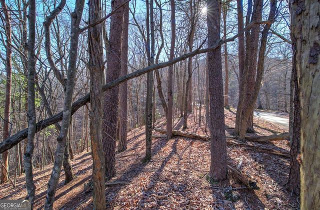 0 Walnut Mountain Road, Ellijay, GA 30536