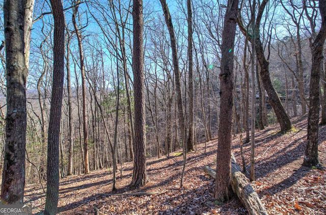 0 Walnut Mountain Road, Ellijay, GA 30536