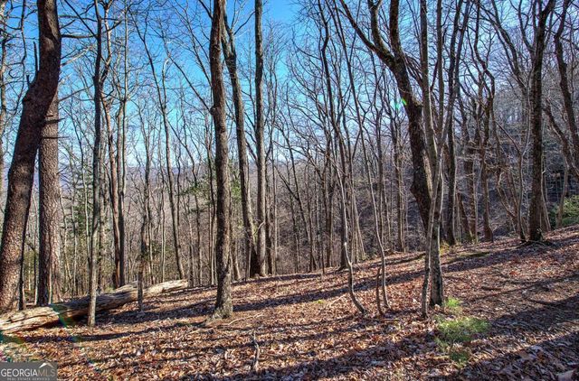 0 Walnut Mountain Road, Ellijay, GA 30536