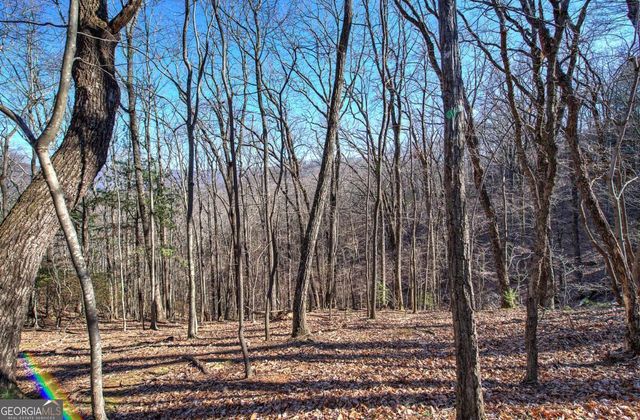 0 Walnut Mountain Road, Ellijay, GA 30536