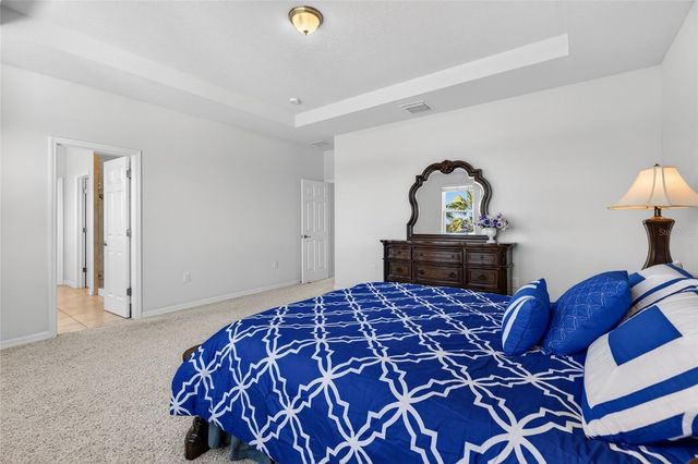 1716 NATURE VIEW DRIVE, Lutz, FL 33558