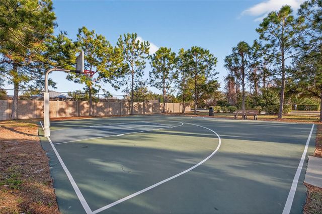 1716 NATURE VIEW DRIVE, Lutz, FL 33558