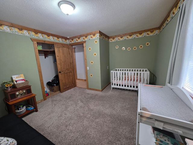 17511 Adair Lane Lane, Houston, MO 65483