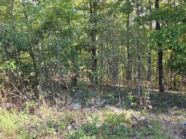 17511 Adair Lane Lane, Houston, MO 65483