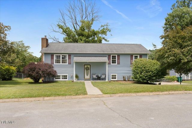 154 Carden Drive, Elizabethton, TN 37643