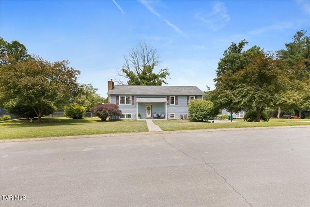 154 Carden Drive, Elizabethton, TN 37643