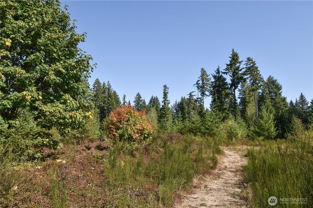 20 Acres SW Hunter Road, Port Orchard, WA 98367