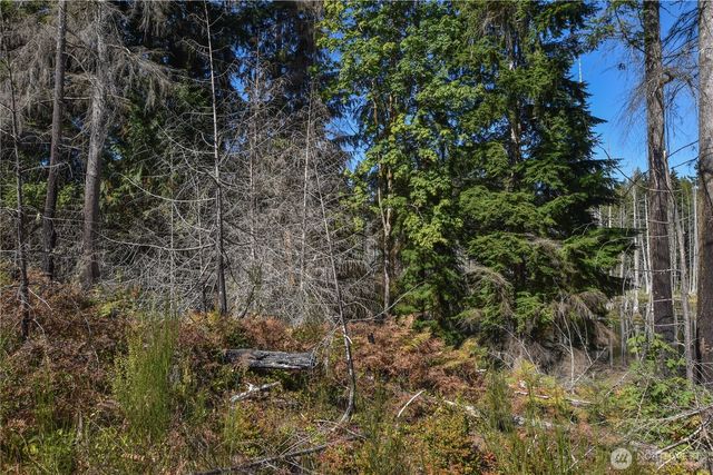 20 Acres SW Hunter Road, Port Orchard, WA 98367