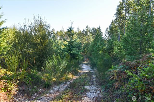 20 Acres SW Hunter Road, Port Orchard, WA 98367