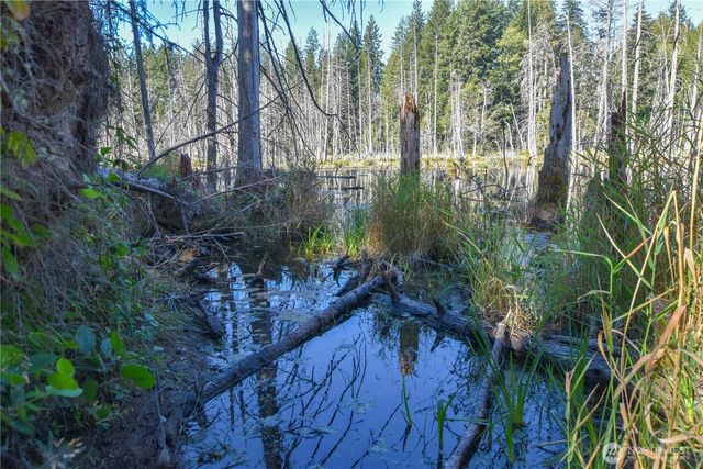 20 Acres SW Hunter Road, Port Orchard, WA 98367